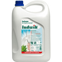 Pyn do naczy LUDWIK, aloes, 5l